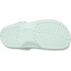 Crocs Unisex Adult Classic Clogs(Mint Tint)