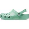 Crocs Unisex Adult Classic Clog(Jade Stone)