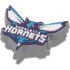 Crocs Unisex-Adult Jibbitz Shoe Charms – NBA Basketball Team Shoe Charm Singles, Sports Charms for Boys and Girls(Charlotte Hornets)